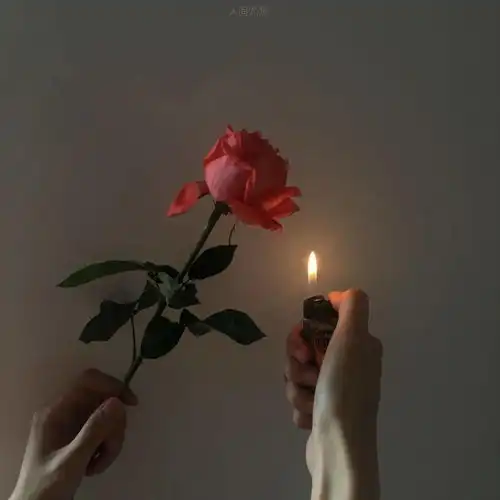 朋友圈背景图走起