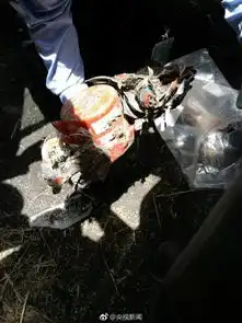 埃航失事客机黑匣子已寻获中方参与救援