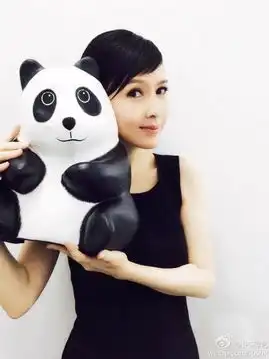 千只纸熊猫空降香港明星个个都是panda控