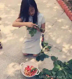 黄磊夫妻微博晒出游照多多跪地认真摘樱桃
