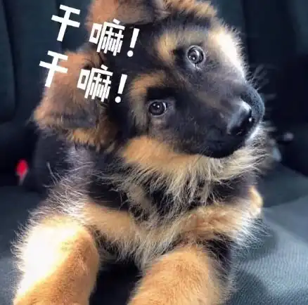 幽默笑话去见女友父母,心里特别紧张