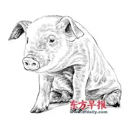 测试一个超长简介的文章