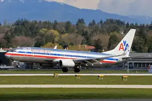 视频美国航空载有154人波音737客机在牙买加坠毁民航新闻民航资源网