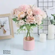 新品速递