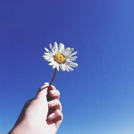 朋友圈简短文艺的个性签名,总有一句适合你