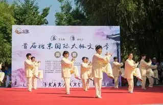是谁在练太极搞得风生水起为争武林盟主数百名高手云集亦庄
