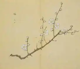 细井徇诗经名物图解典雅诗句中的花草树木