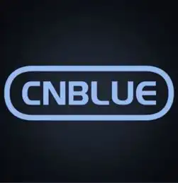 谁有cnblue的logo蓝色的