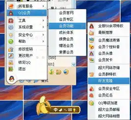 qq会员克隆好友怎么弄