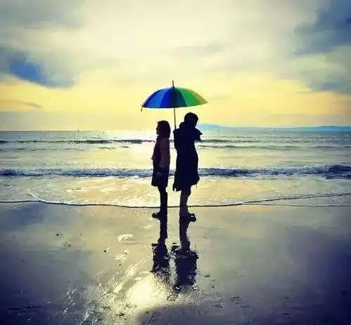 阳光下灿烂,风雨中奔跑