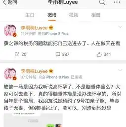 薛之谦与高磊鑫孩子出生,原来李雨桐早就说出真相