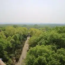 2019钟山风景名胜区门票,南京钟山风景名胜区游玩攻略,钟山风景名胜区游览攻略路线地址门票价格