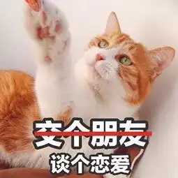2018强迫症头像猫咪呆萌搞笑带字头像没结果的事不值得开始
