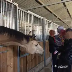 电话,地址,价格,营业时间北京运动健身
