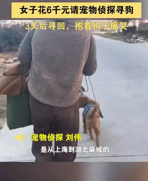 女子花6千元请宠物侦探寻狗3天后寻回,抱着狗子痛哭