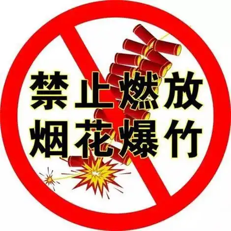 一男子非法燃放烟花爆竹被献县公安局依法行政拘留