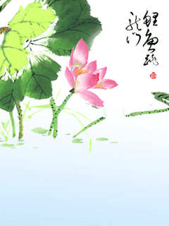 zol中关村在线