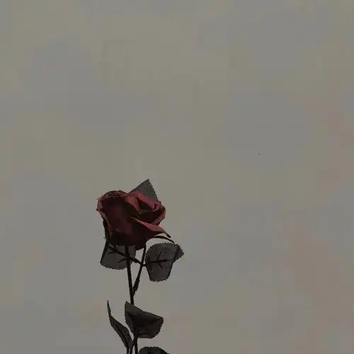 怎样挽回那个曾经满眼都是你的人