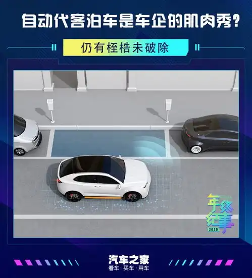 谁来拯救鸡肋的自动泊车