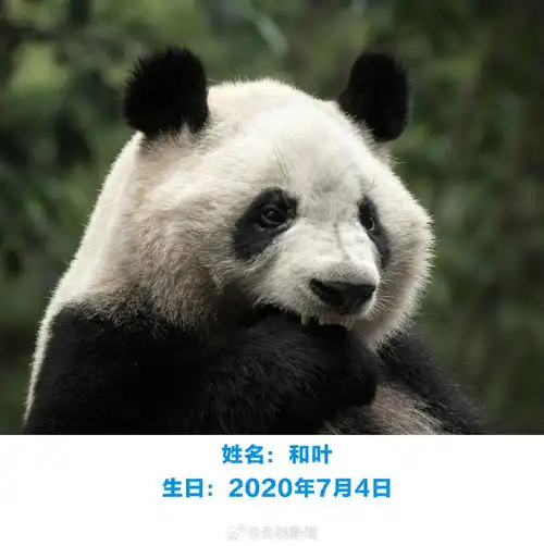 生日快乐萌兰花花和叶今天生日