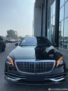 提车20款奔驰迈巴赫s450因热爱而振臂高呼