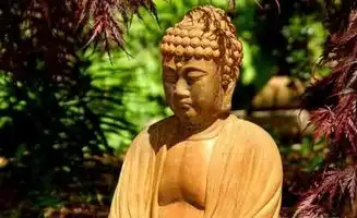 众生为什么容易着相佛用这3个字来说明,悟得了也会有所成就