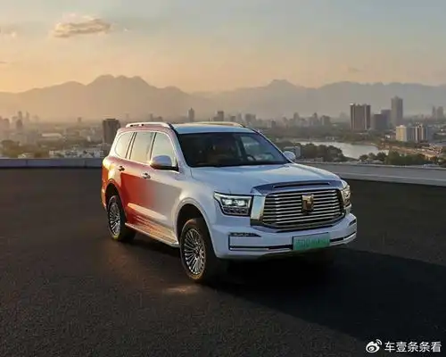 长城汽车的2025卷或不卷都两难