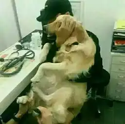 轻松一刻对方正在输入