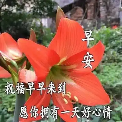 2023最新早晨好早上好漂亮问候祝福图片头像