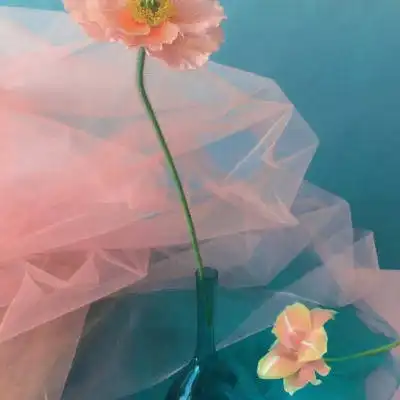 测试一个超长简介的文章