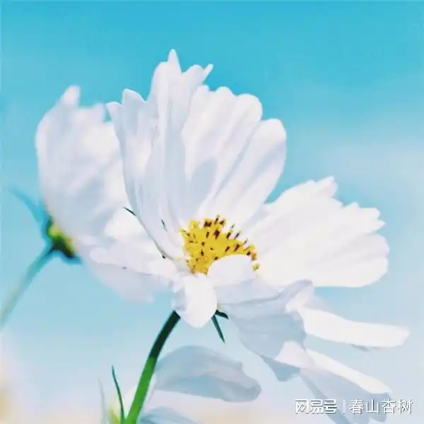 acrobat编辑器安装步骤下载adobeacrobatprodc下载安装
