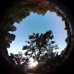 姆们的粉丝有点懒