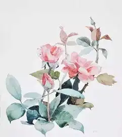 水彩花卉看着很是喜欢