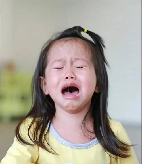 孩子遇事动不动就哭李玫瑾教授直言可能是家长的反应出了问题