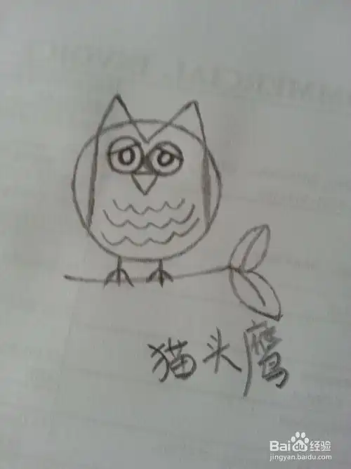 怎样画简笔画猫头鹰