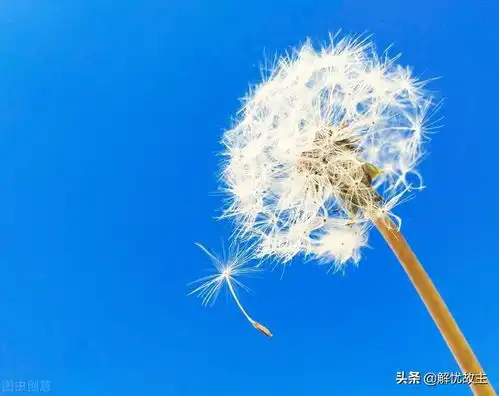 风是空气的快速流动,四季的风,四季的刻骨铭心