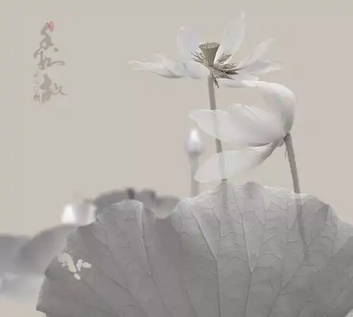 心静是一种美