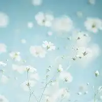 天空头像图片大全唯美微信头像图片大全