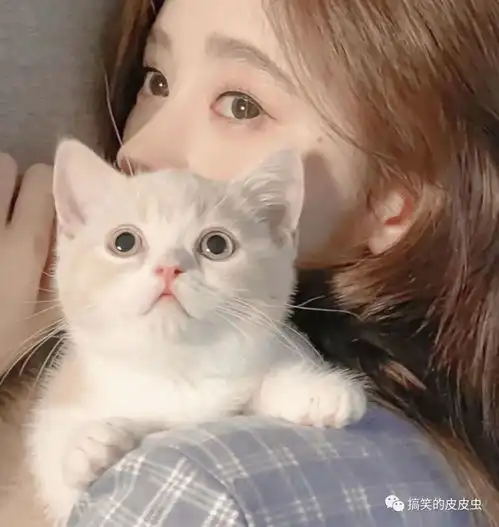 那些爱意满满溢出屏幕的文案