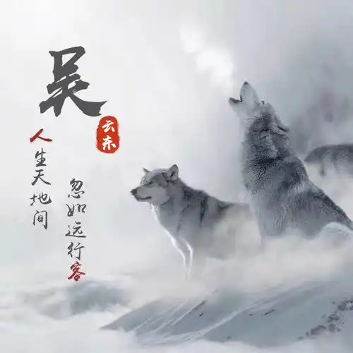 2021好看的微信头像做好了,36张高端精致签名头像,喜欢请带走