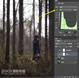 photoshop美化打造美逆光效果森林人像森林人像