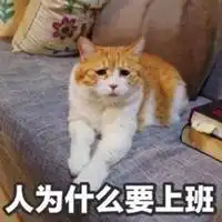 2019抖音最火爆微信头像微信头像图片大全