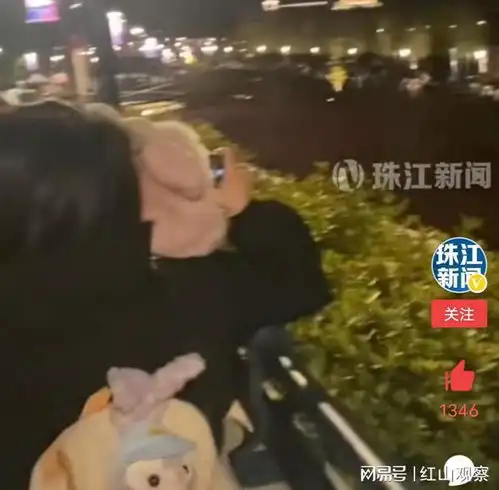 上海超5000人凌晨在迪士尼乐园排队买玩偶,网友刷新认知