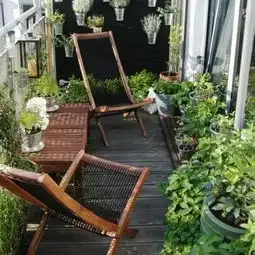 我只想要一个种满绿植的阳台