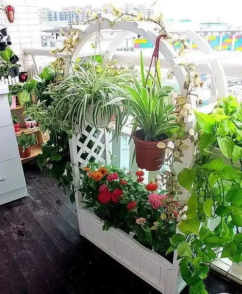 园林景观花草树木玩的6,方寸小院也生辉