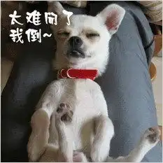 正品七频金钱豹按摩棒爱世界av刺激阴蒂情趣用品女性自慰成人用品
