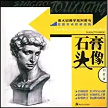 基础美术阶梯训练石膏头像美术班教学系列用书