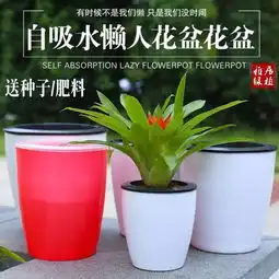花小钱来的高级感,聪明人早就这么做了