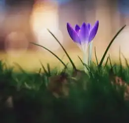 简短窝心的句子心情说说每一句都触动心灵