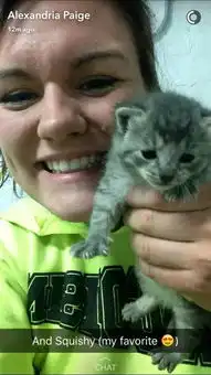 大雨中发现三只虚弱的流浪奶猫,被小情侣全部接回家好好伺候